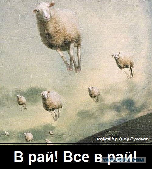 Патриарх Кирилл заявил о глобальном заказе на уничтожение РПЦ