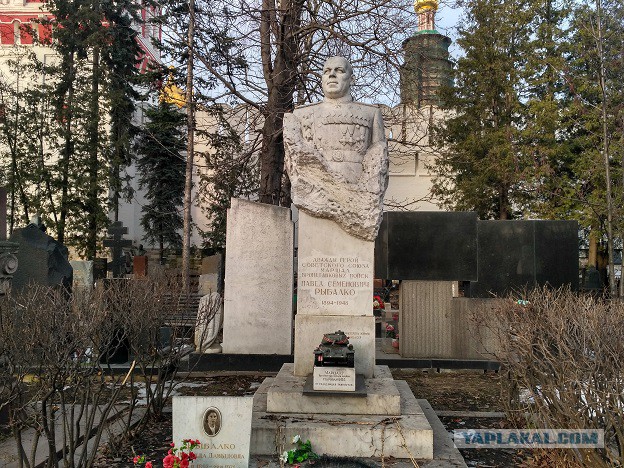 Новодевичье