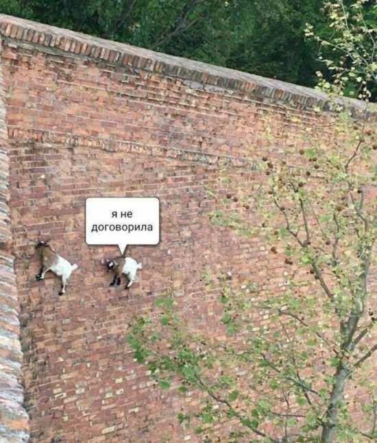 Хорошая жена не должна ворчать из-за денег!