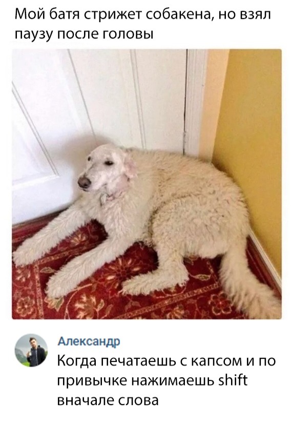Нестандартный юмор