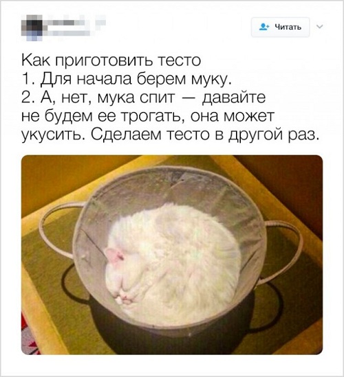Немного картинок для настроения