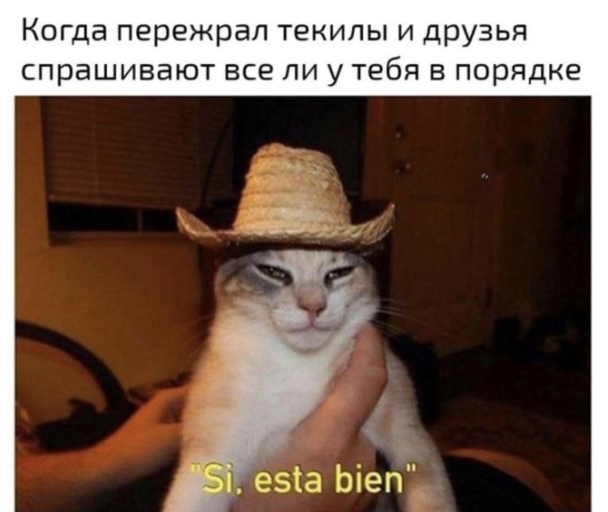 13052739.jpg