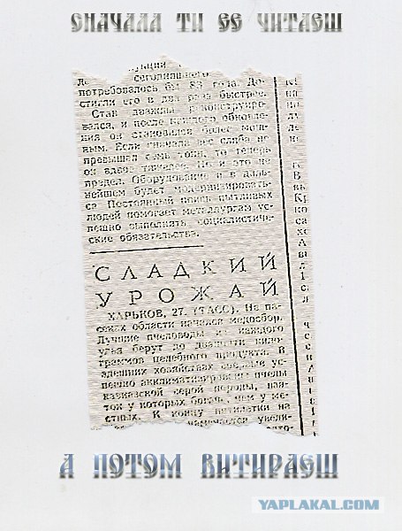 Фотожаба: Сделаем туалетную бумагу лучше!