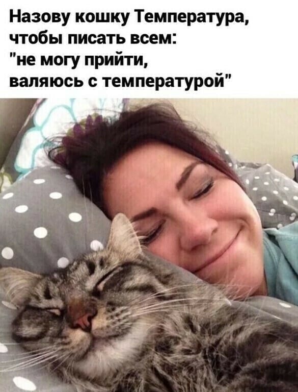 Бредзона 19.12.20