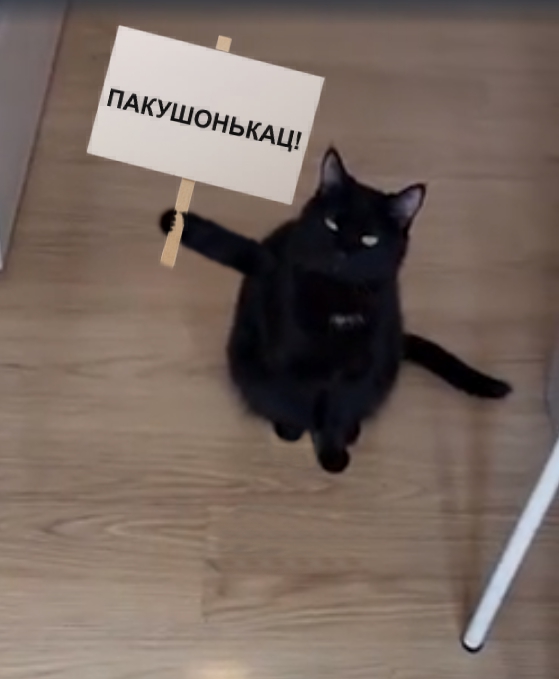 Чпок. Добрый вечер!