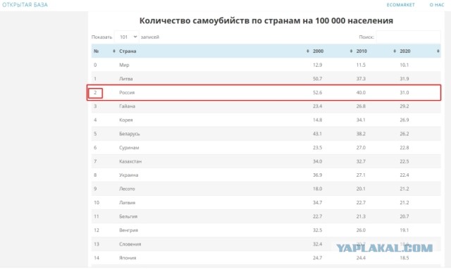 В Госдуме единороссы предложили гуманно убивать бездомных животных