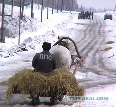 Беспредел "Полицейских" ДПС