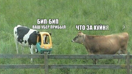 Разминка для мозга