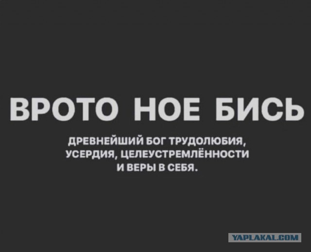 Весёлый полтишок 5.04