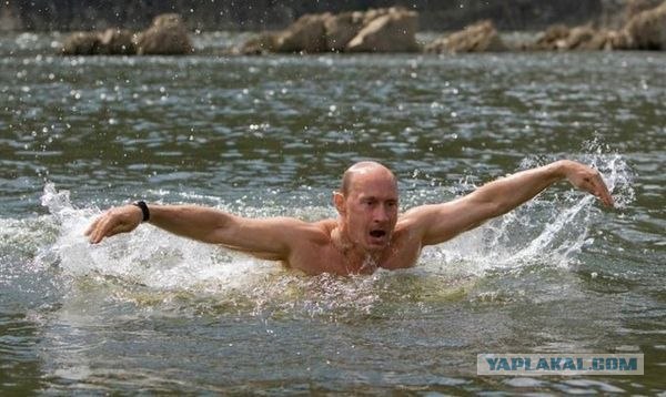 Уток первый раз выгоняют в воду!