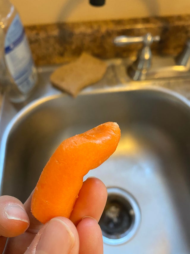 22 фото необычных вещей для расширения кругозора, которые снова докажут, что мир — удивительное место