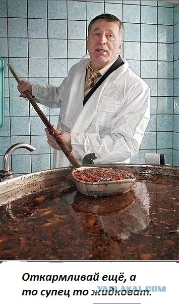 Прикормленный сурок