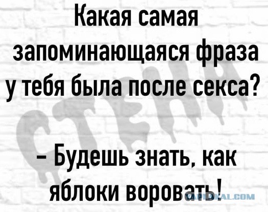 Аморальная деградация