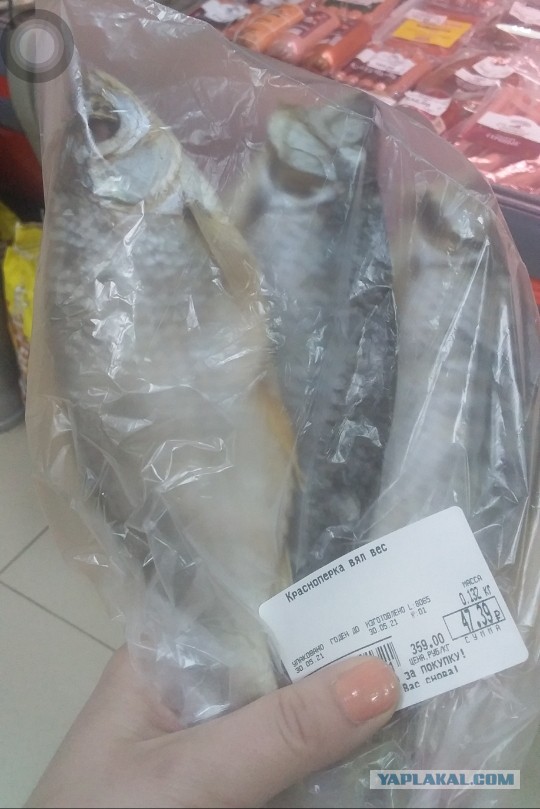 Разоблачение мифов о сумасшедших ценах на продукты в Сочи. Свои ролики с ценами, рынок Адлера. Часть вторая