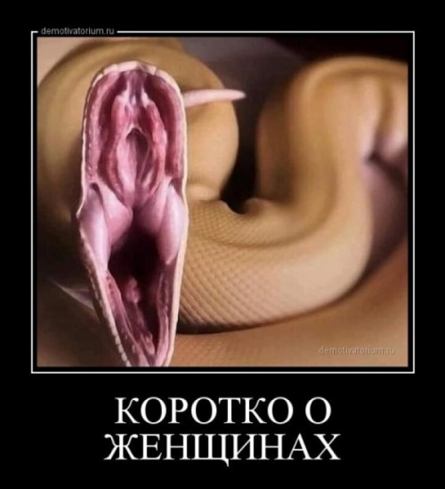 Пятница. И немного слегка пошлых картинок с надписями и без 16+ (06.08))