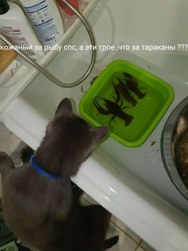 Кросивое!