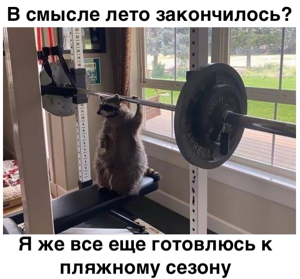Так себе картинки 28.08.21