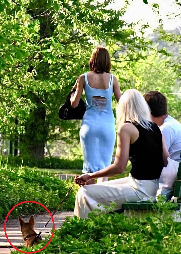 Картинки и мемы 08.10.2021