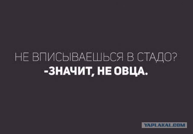Никогда не зли доброго