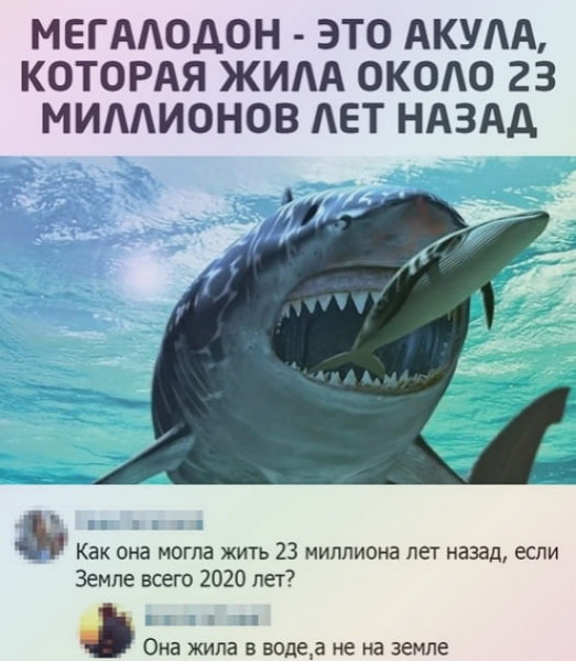 Всяческие картинки 08.11.2021
