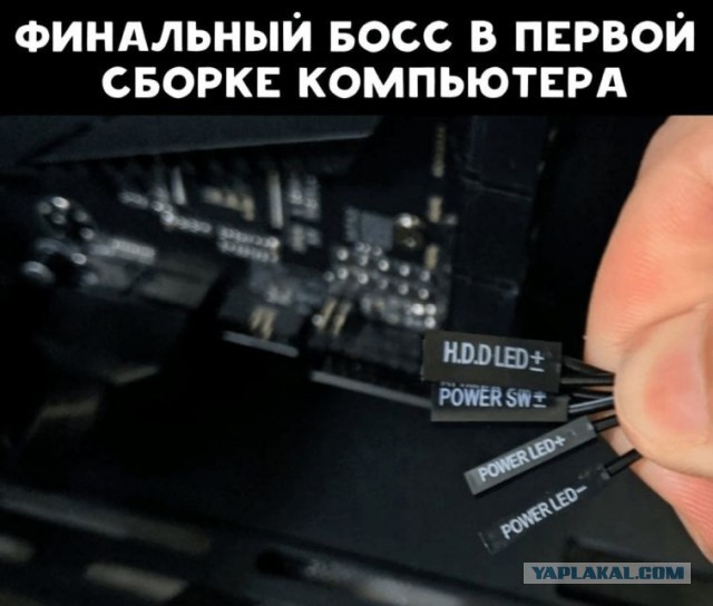 Так себе картинки 16.02.22
