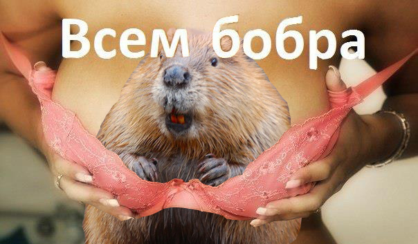 Картинки и мемы для настроения 31.03.2022