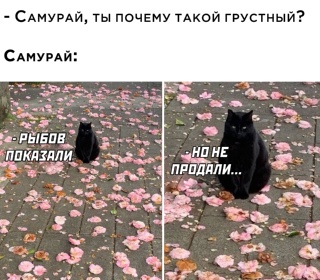 Картинки и мемы, начало праздников