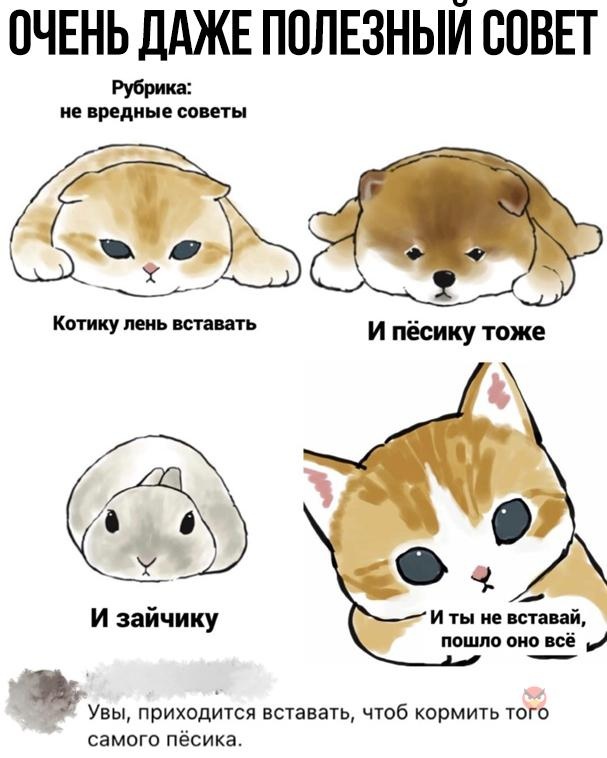 Так себе картинки 02.06.22