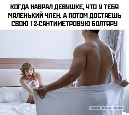Учёные изучили пенисы на старых картинах. И пришли к интересному выводу