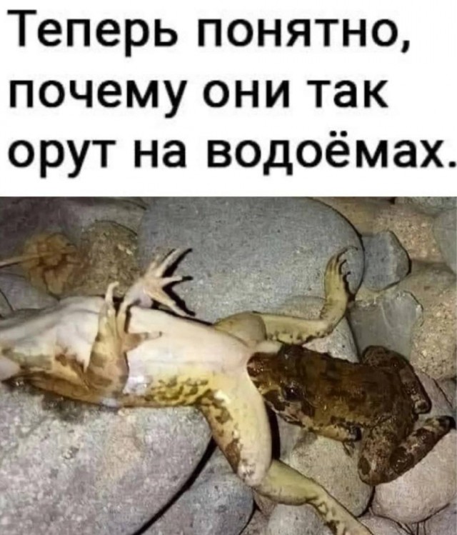 До развода рукой подать