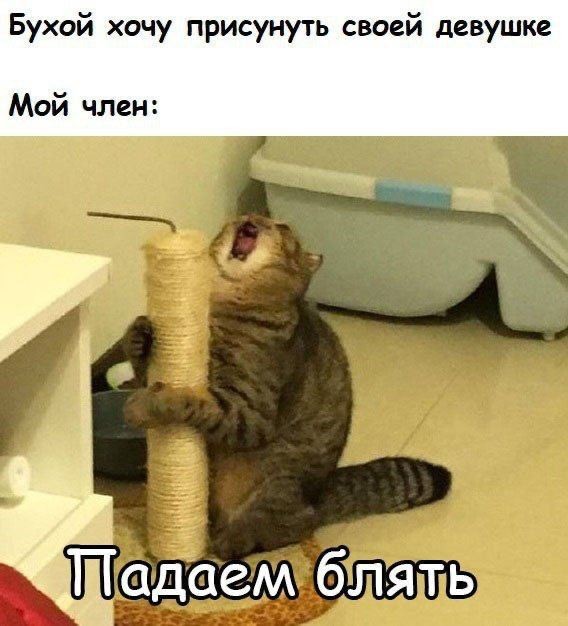 Немного пошлых картинок 29.09.23