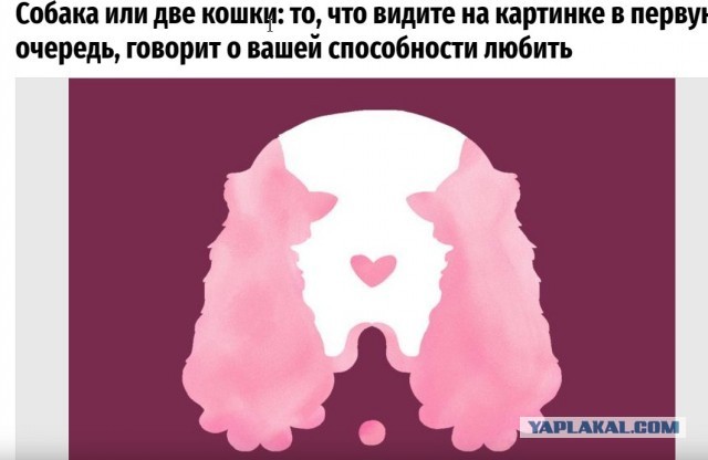 Так себе картинки 17.01.24
