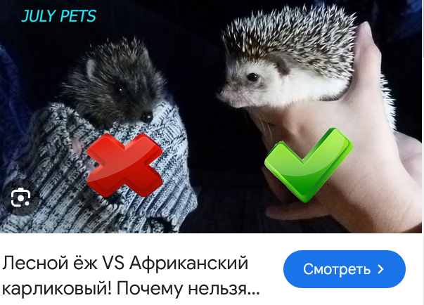 Вот что бывает, когда