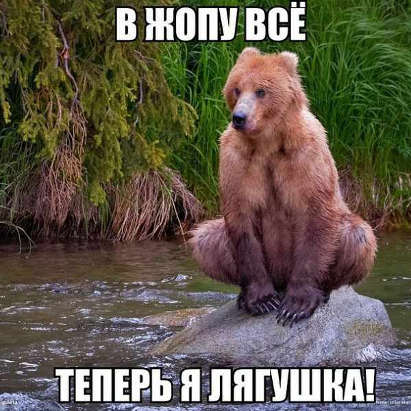 Завалялось тут случайно немного забавных картинок