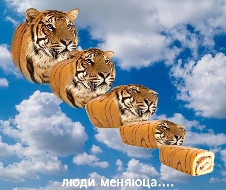 Между нами тает лёд