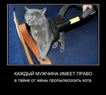 Так себе картинки 02.12.24