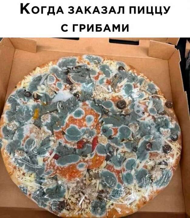 Бесплатнавые баяны
