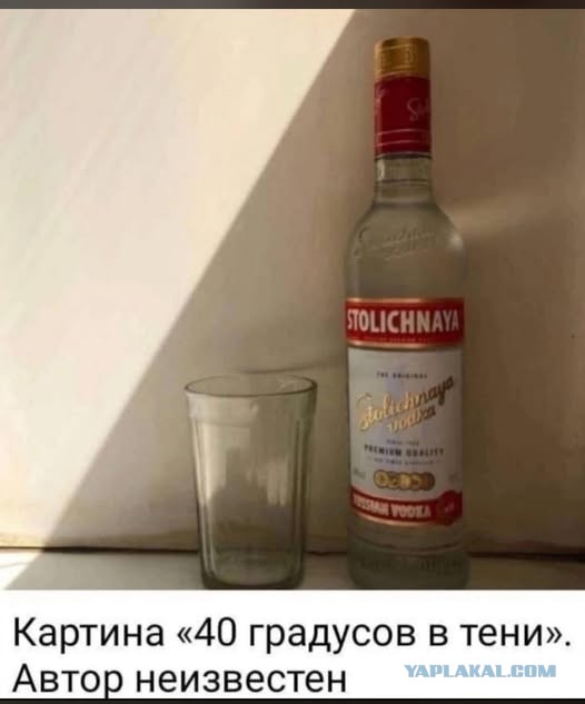 О питии водки.
