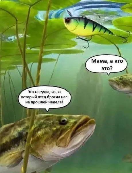 Пятничные бояны