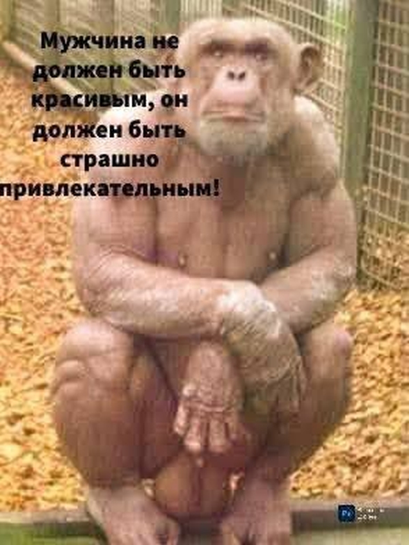 Забавные и не очень скромные картинки - 24
