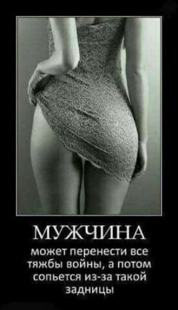 Среды картинки