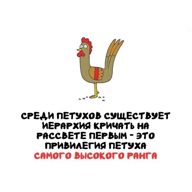 Интересные и короткие факты на все случаи жизни 19.04.26
