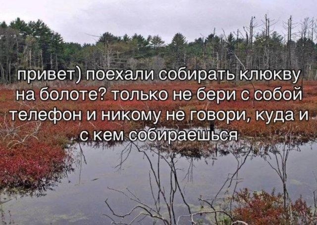 Быть дегенератом не только весело, но и полезно