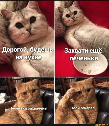 Печенье к утреннему чаю
