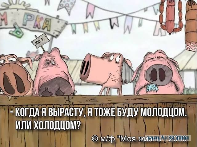 82-летний дедушка показал, как заботится о своих поросятах