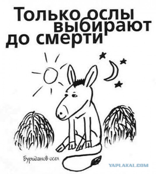 Майдан 2013, Киев