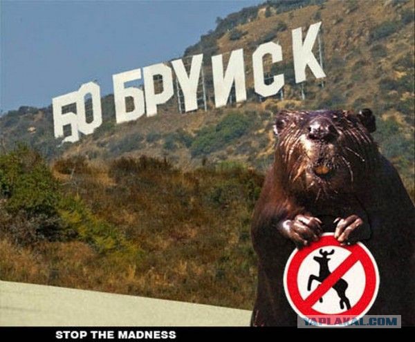 Необычные вещи, которые мало кто видел