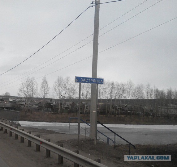 Озеленение Владивостока.
