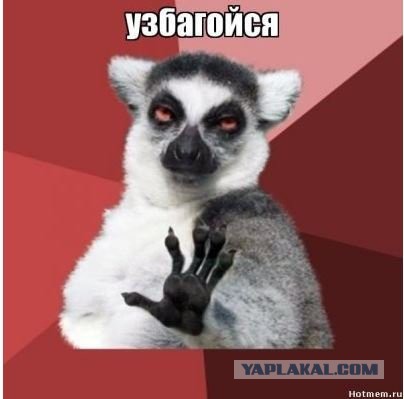 Весеннее обострение. Ростов-на-Дону.