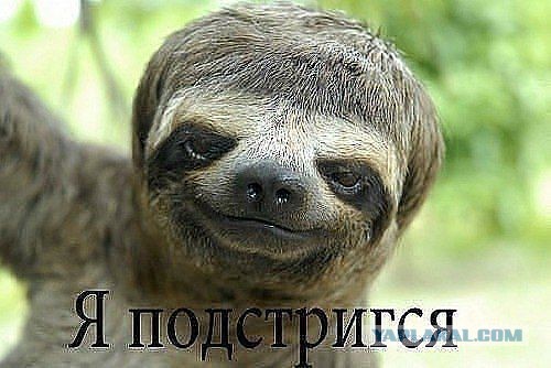 Смешное из соц сетей